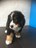 Bosley